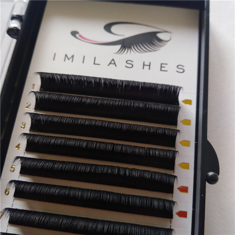 Lash Products.jpg